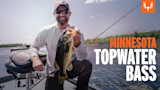 Minnesota Topwater Bass