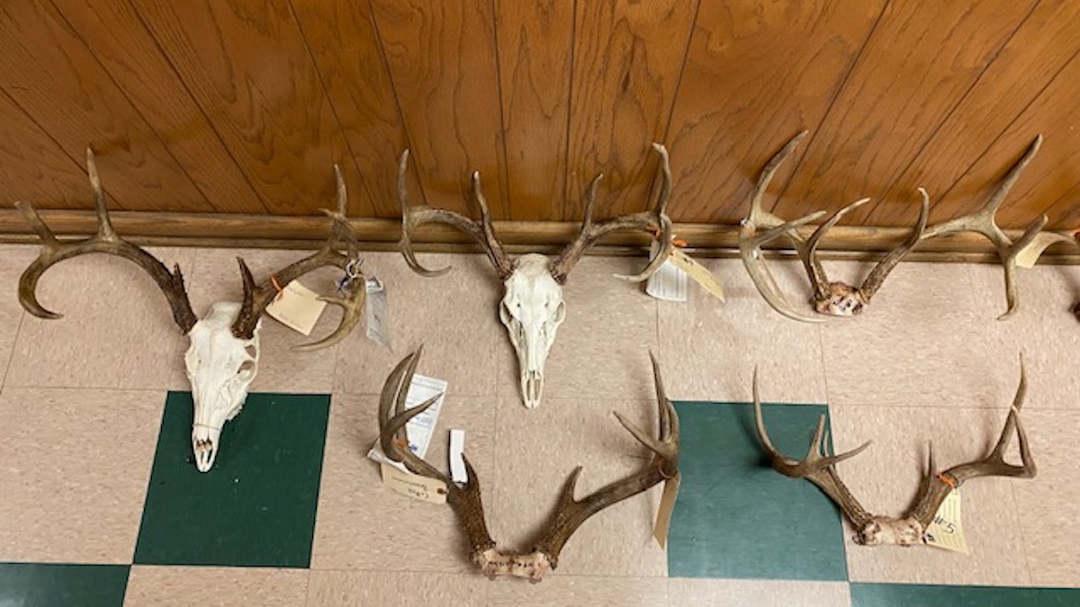 2 Sheriff Deputies Charged in Huge Poaching Case