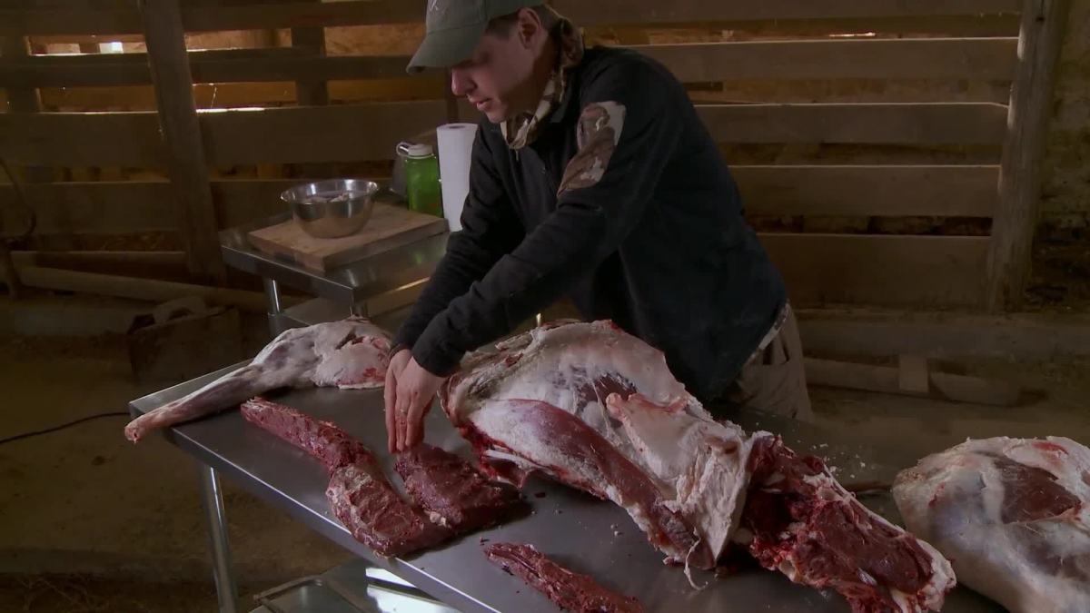 Cooking Special: Butchering a Whole Deer