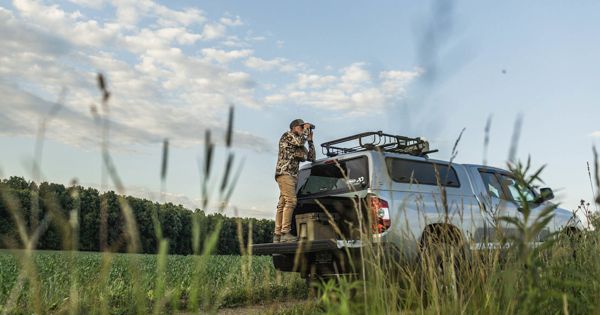 Is Summer Scouting Overrated? Is Summer Scouting Overrated?