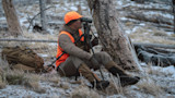 DaveGardner_231123_005-2.jpg