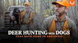 Deer Hunting with Dogs