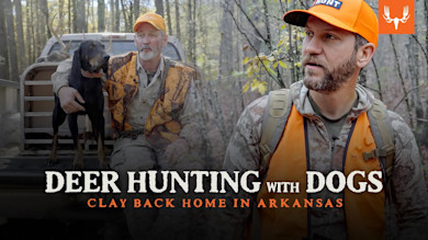 Deer Hunting with Dogs