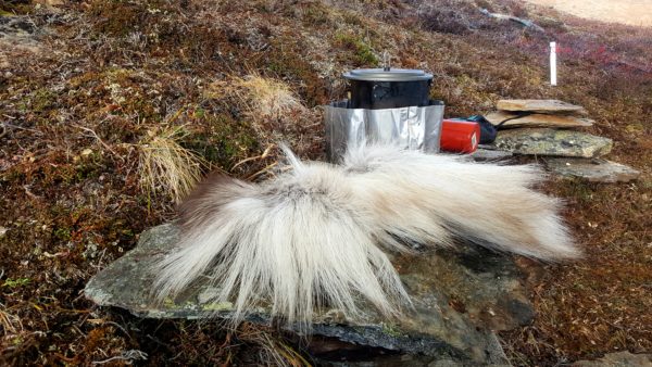 Meat Hooks: Big-Ass Streamers Smoke Big-Ass Trout