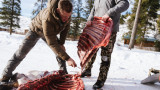 5 Tips to Fill the Freezer on a Budget