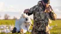 Waterfowl Hunting with Flying V