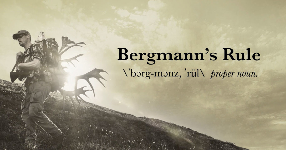 Glossary Term: Bergmann’s Rule | MeatEater Hunting