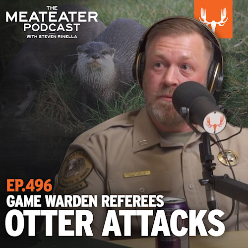 Game warden speaking into podcast microphone; text "THE MEATEATER PODCAST" and "EP.496 OTTER ATTACKS"