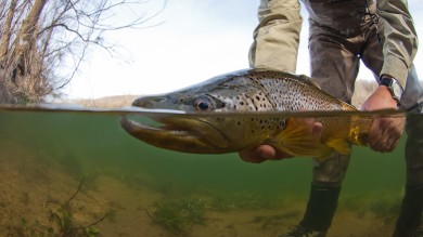 5 Practices for Safer Catch-and-Release Angling