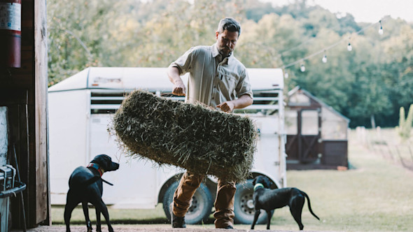 Man lifting a hay bale at barn doorway as two black dogs watch