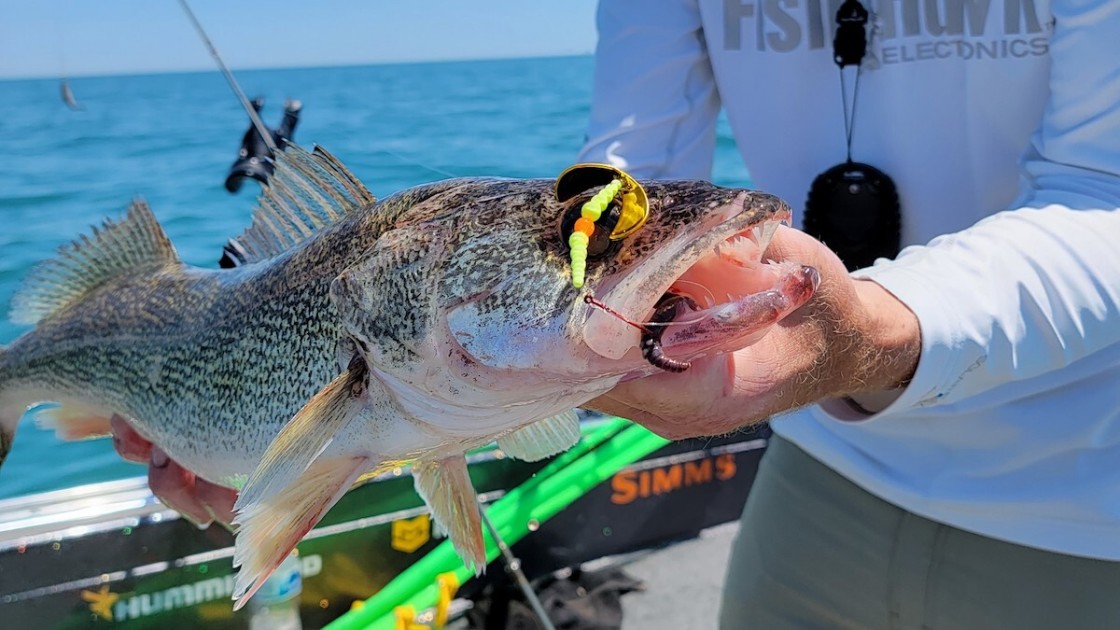 Why YOU Need to Use This Multi Purpose Walleye Jig - Lindy