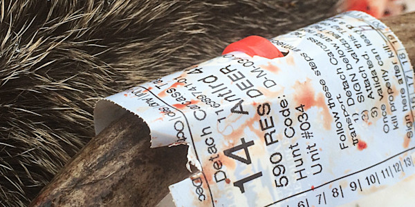 Western Tag Draws Unfazed by Hunting’s National Decline