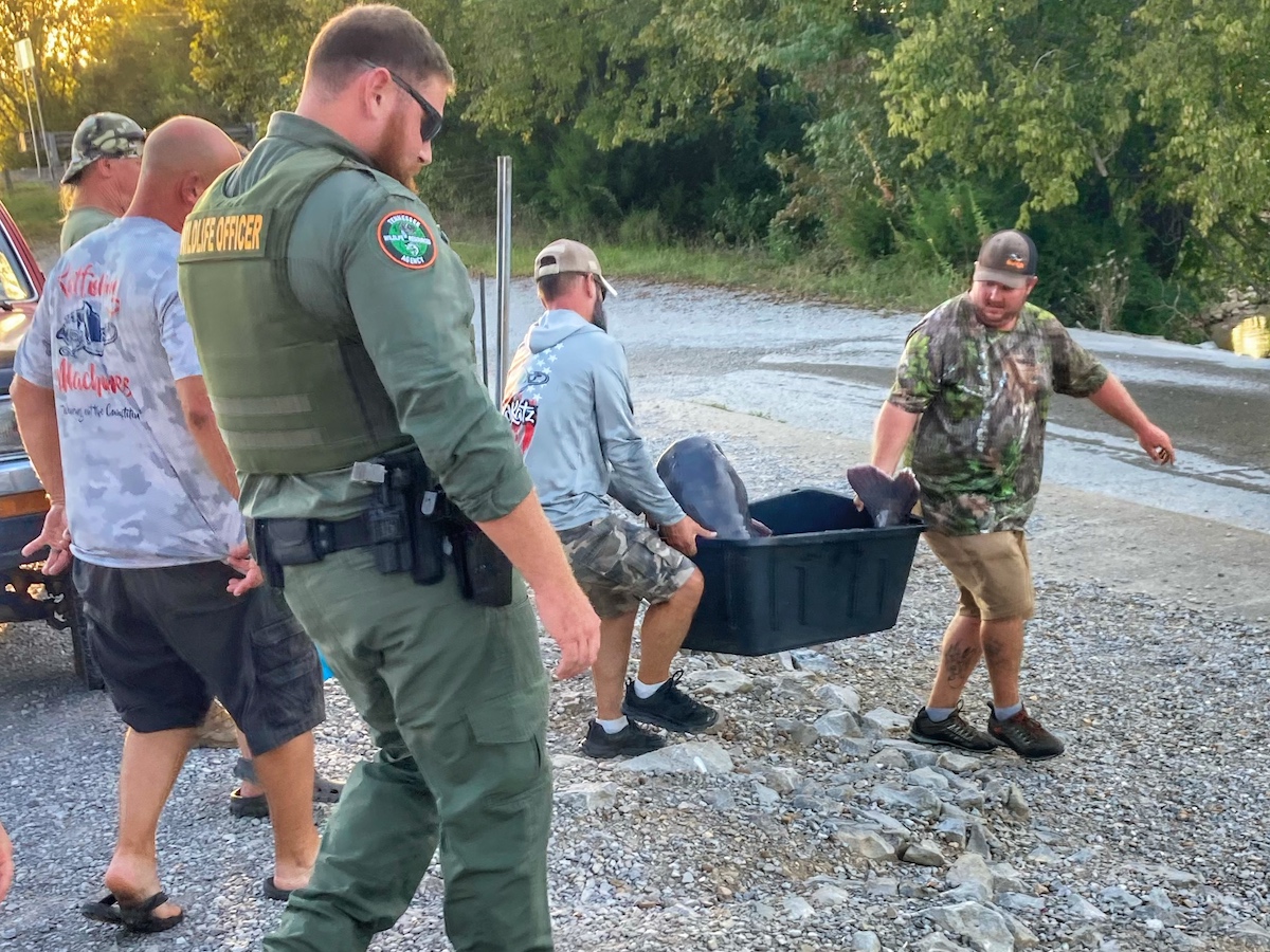 record catfish release