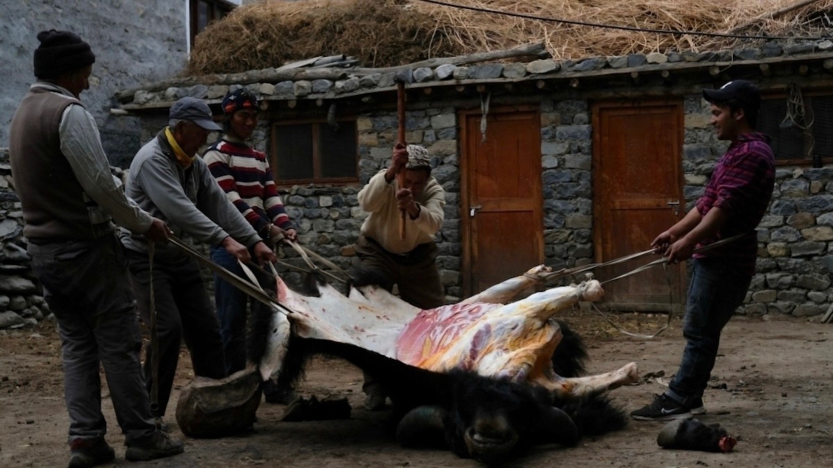 How to Butcher Like a Buddhist