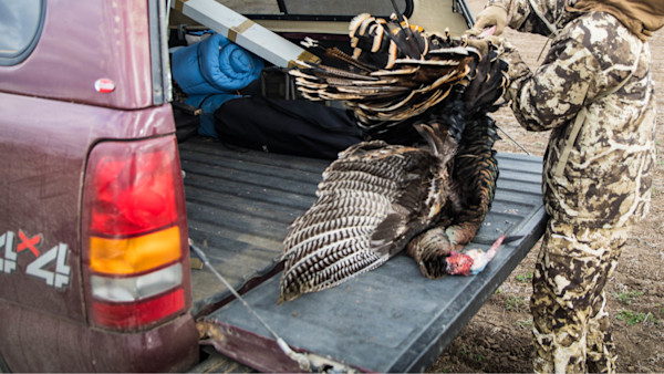 How to Kill a Tom at Midday