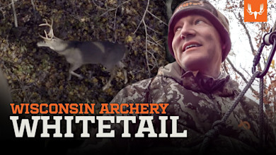 Wisconsin Archery Whitetail