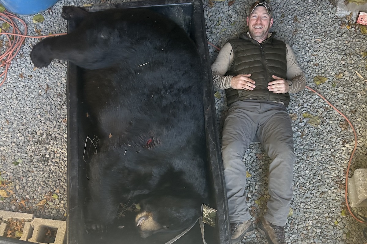 big NJ black bear