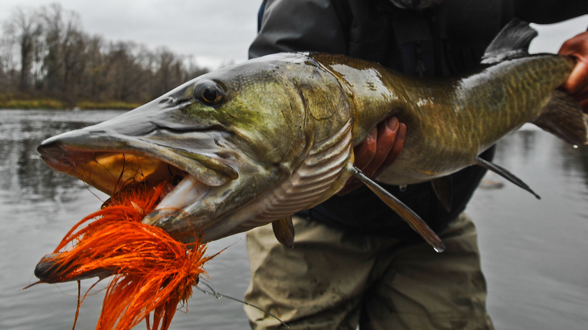 Do Big Baits Really Catch Big Fish? | MeatEater Fishing