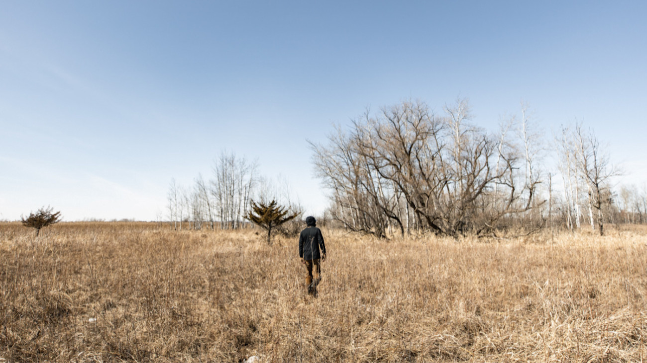 How to Scout Public Land Whitetails in the Offseason | MeatEater Wired ...