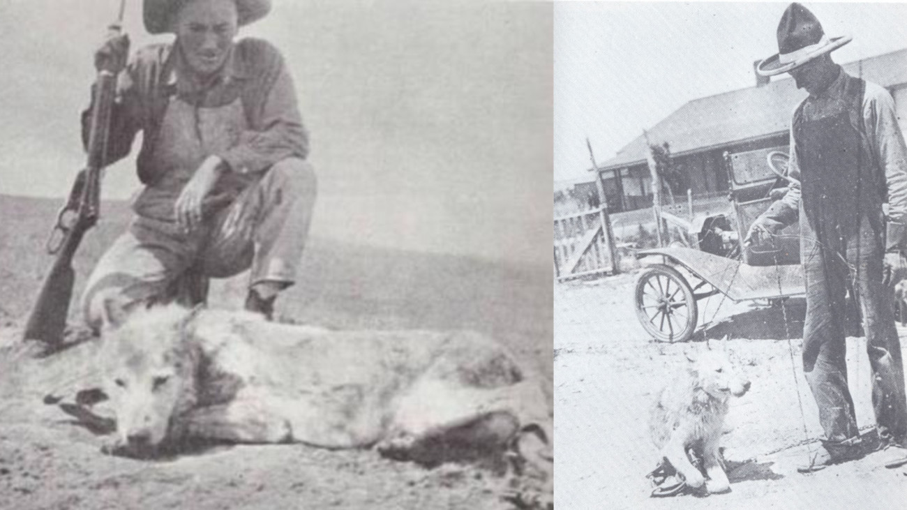 Bar Room Banter: Three Toes, The West’s Most Notorious Livestock Killer