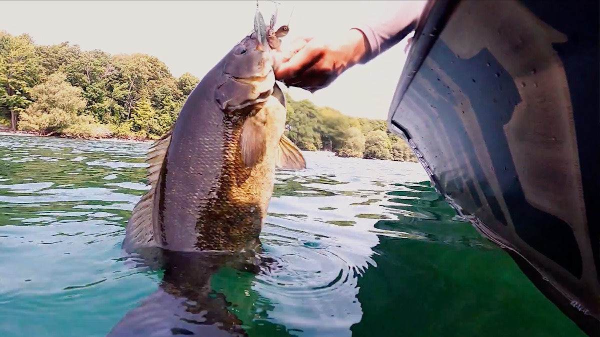 Video: How to Burn Spinnerbaits for Big Smallmouth Bass
