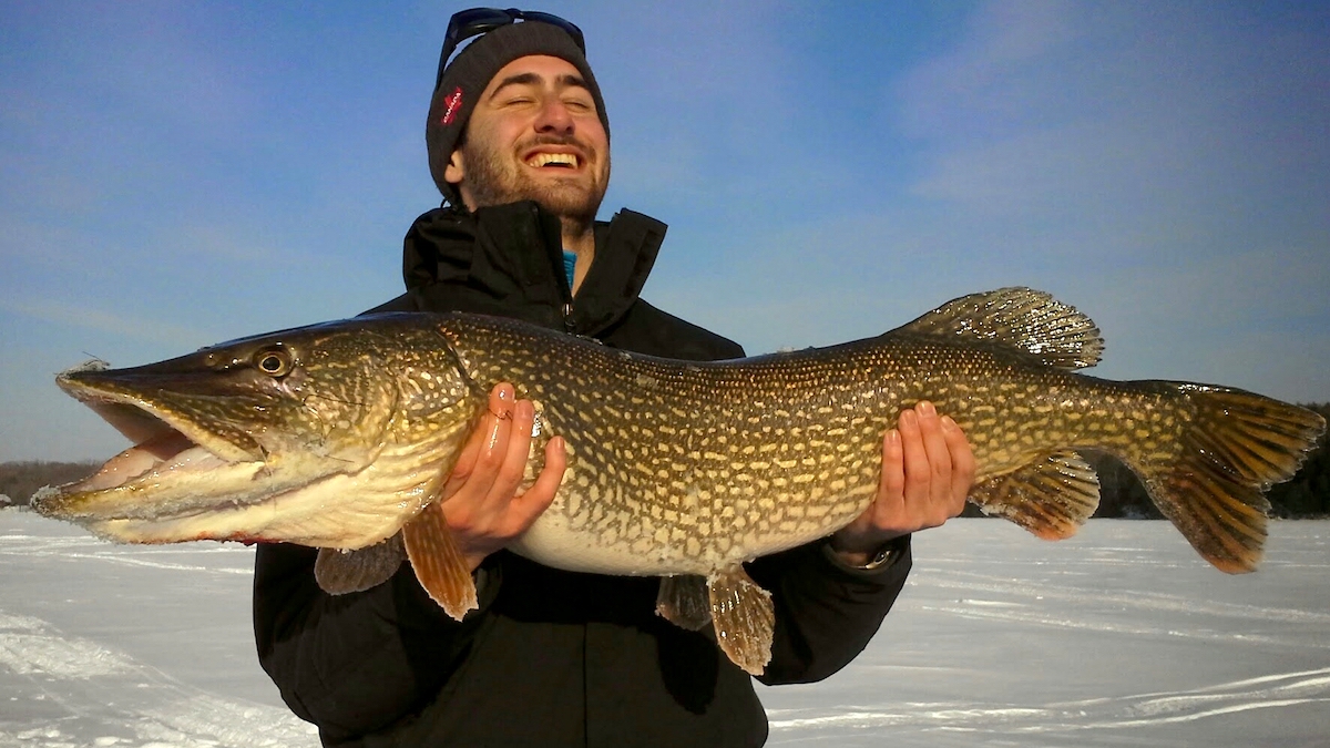 Best Baits for Ice Fishing Pike MeatEater Fishing