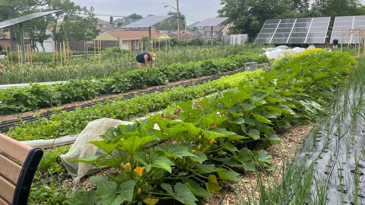 The Importance of Crop Rotation