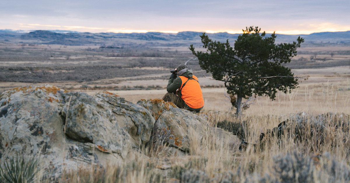 Congress Overturns BLM Plans—Here’s What It Means For Hunters