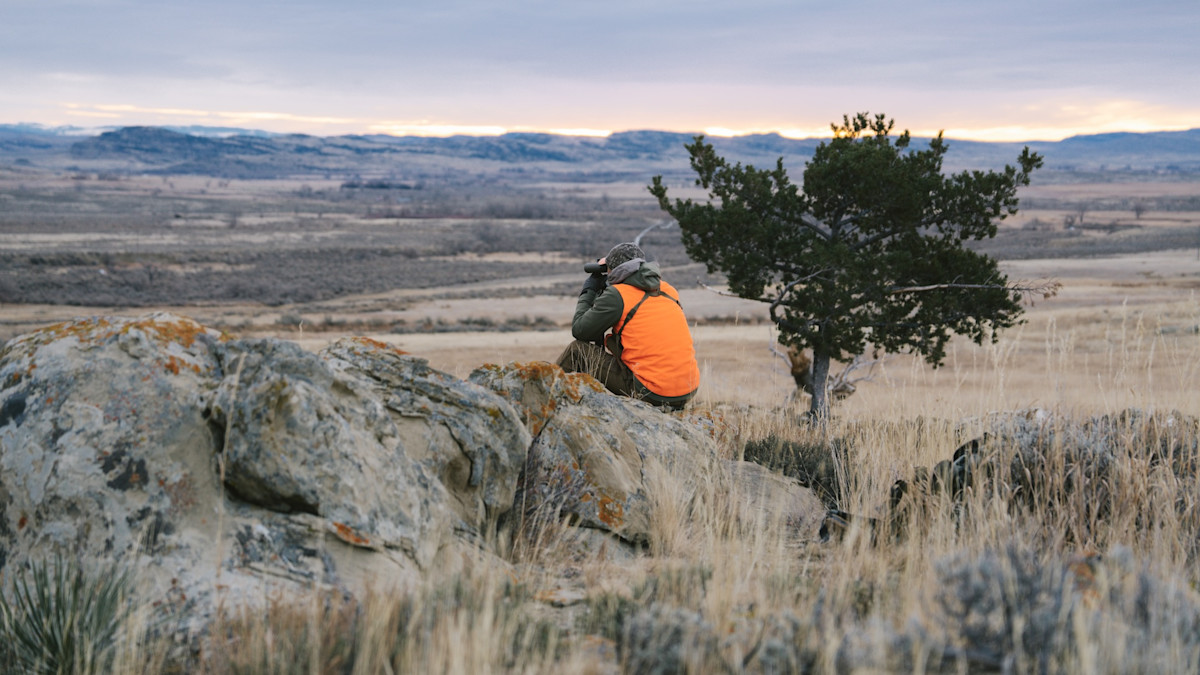 Congress Overturns BLM Plans—Here’s What It Means For Hunters