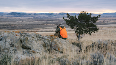 Congress Overturns BLM Plans—Here’s What It Means For Hunters