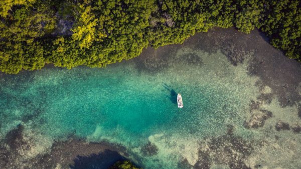 Mountain in the Mangroves: Dr. Martin Luther King Jr. and His Bahamian Bonefish Guide