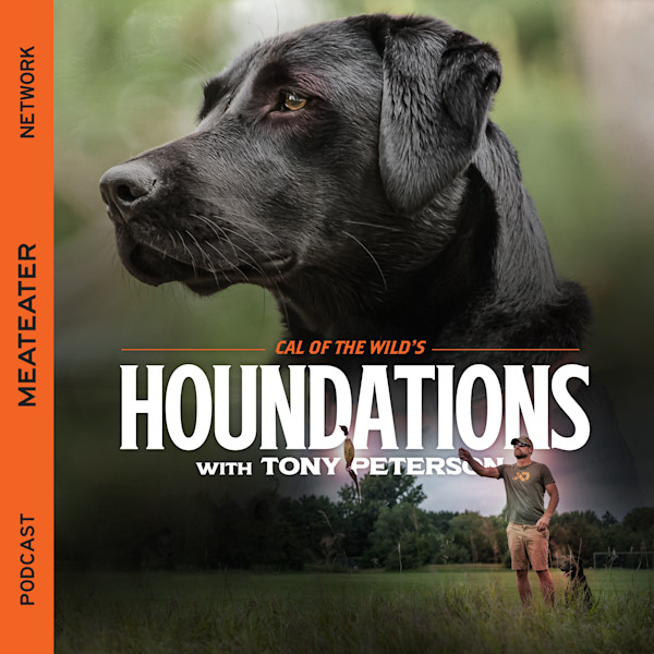 Ep. 315: Houndations - A Deep Dive Into Past & Present Deer Dogs