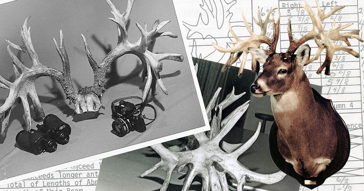 The 5 Biggest Non-Typical Bucks Ever ‘Picked Up’ in The Boone and Crockett Club The 5 Biggest Non-Typical Bucks Ever ‘Picked Up’ in The Boone and Crockett Club