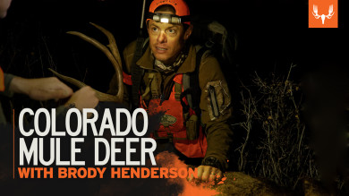 Colorado Mule Deer with Brody Henderson