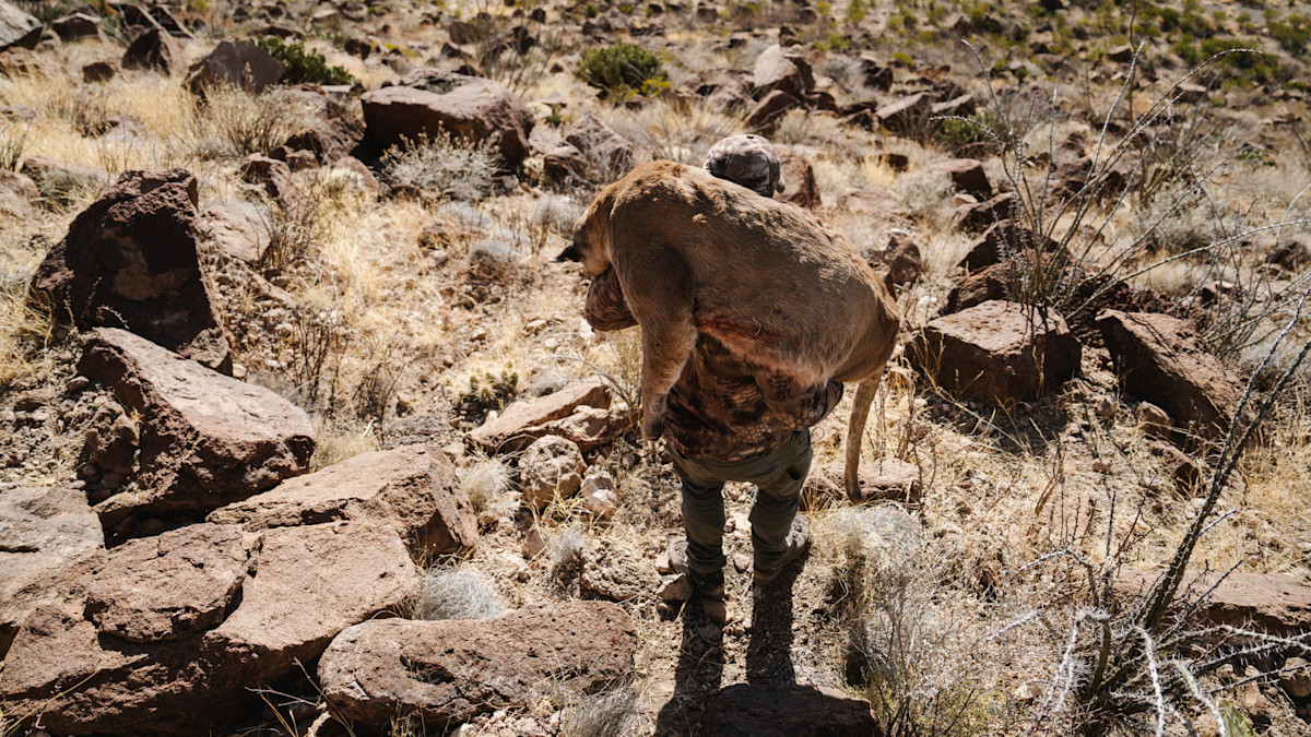 11312023_CITF_TX_AOUDAD-1-56-2.jpg