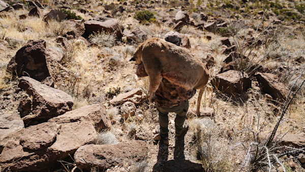 11312023_CITF_TX_AOUDAD-1-56-2.jpg