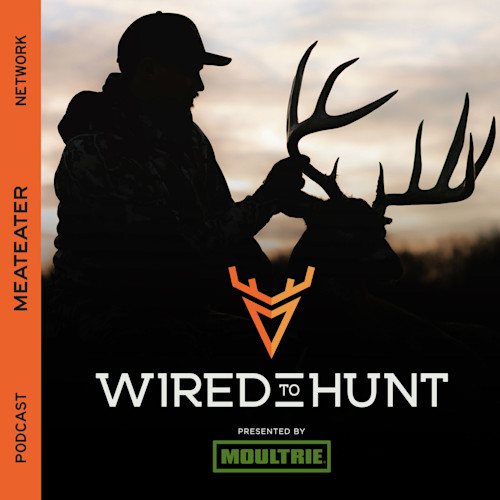 Silhouette hunter holding large buck antlers at sunrise; text 'WIRED TO HUNT' and 'MEATEATER NETWORK'