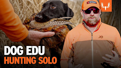 Hunt Solo