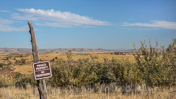 Colorado Bowhunter Kills Neighbor's Dog After Watching it Chase Deer