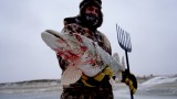 Video: Fisherman Spears Pike, then Spears Shelter Door