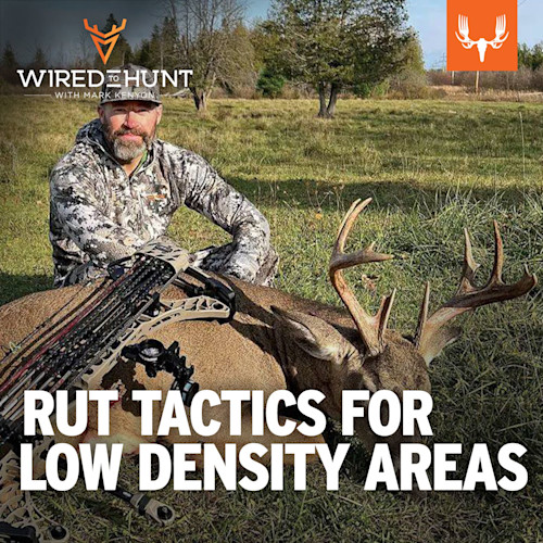Hunter kneeling by harvested buck with bow; text "RUT TACTICS FOR LOW DENSITY AREAS"