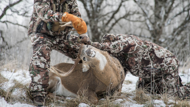 5 Best Exercises for Whitetail Hunters