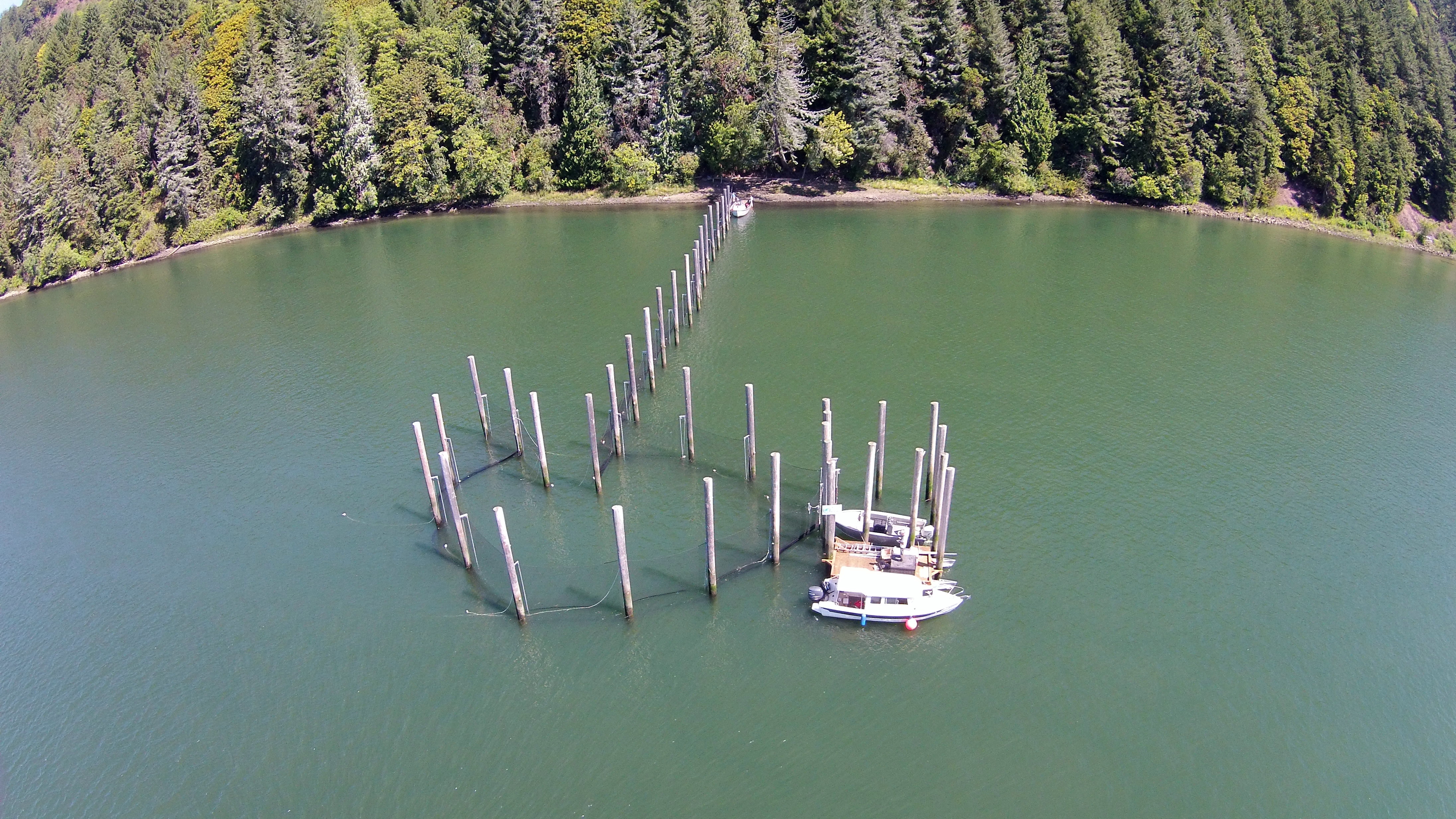 Aerial of gill net fishing