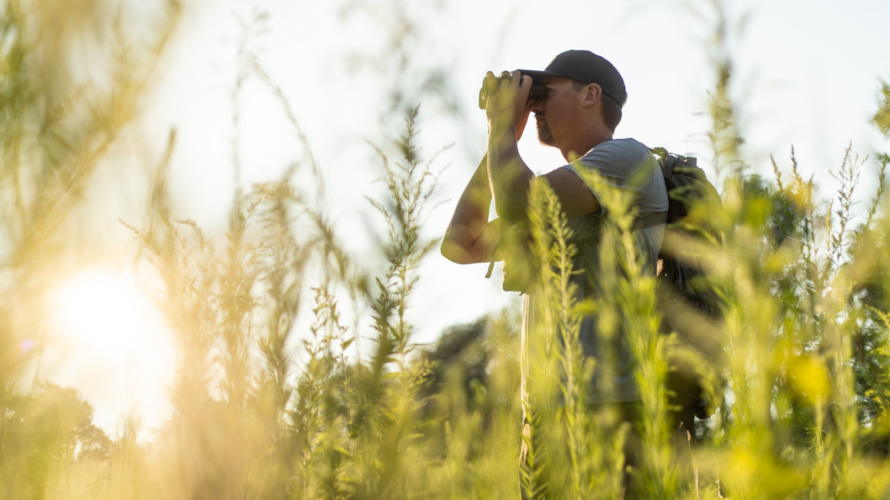 The Basics of Summer Scouting Whitetails