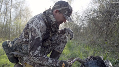 Hunter in camouflage crouching over harvested turkey on grassy forest edge