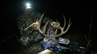 3 Whitetail Tags You Should Buy Preference Points For