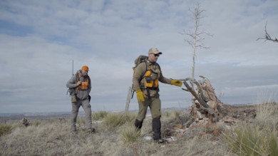 Big Bulls Don't Come Easy: Montana Elk