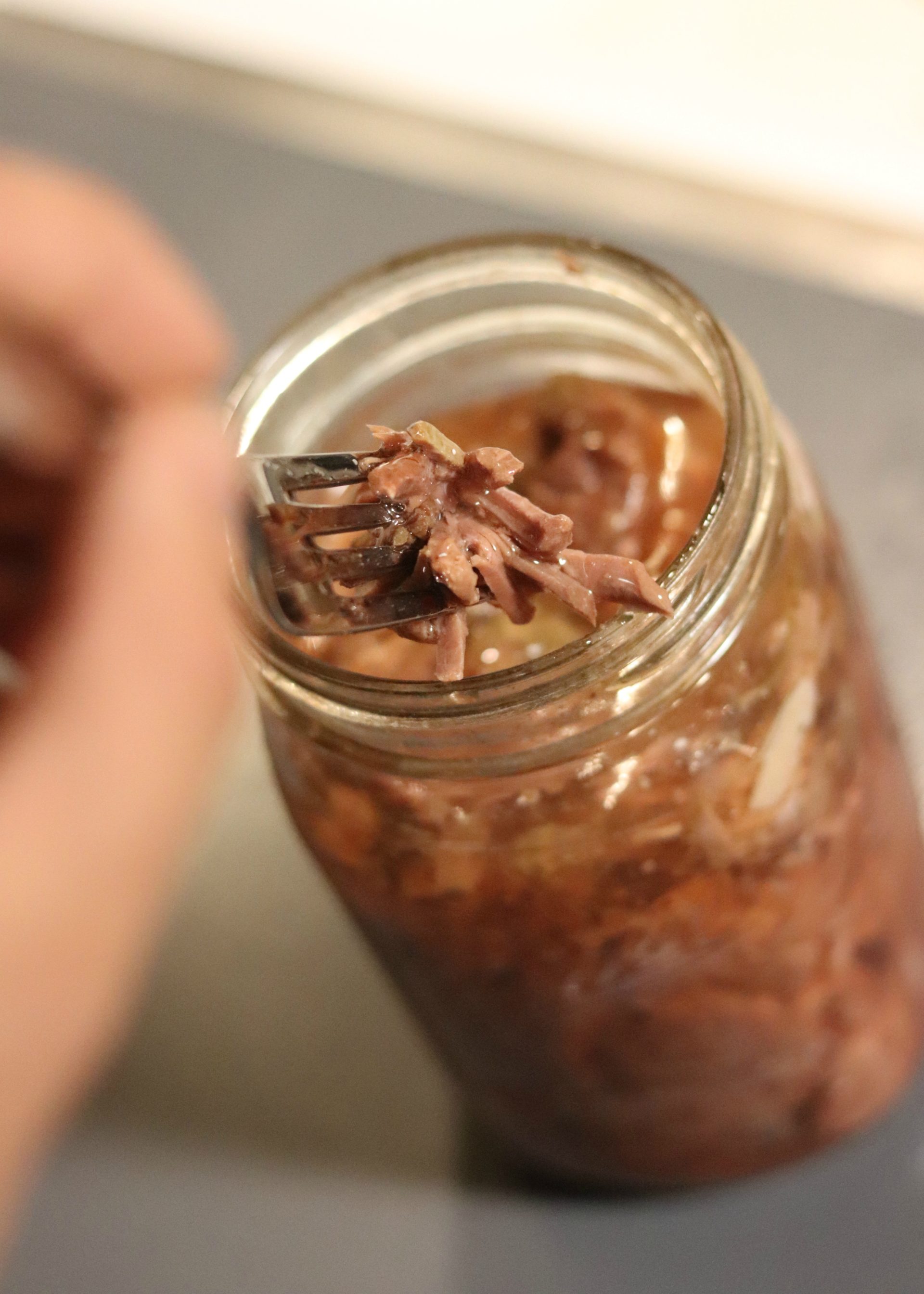 Venison French Dip
