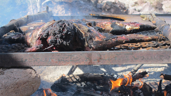 Trophy Meals: Summer Grilling Tips