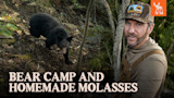ME_12N26_BearCamp_05.jpg